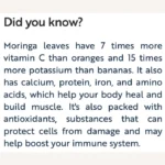 Moringa Powder - 250g